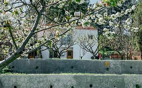 Milea Mansion